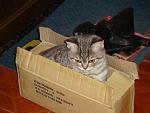     
: DSC02091.jpg
: 44
:	114.7 
ID:	4129452