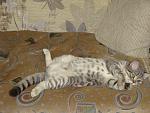     
: DSC02153.jpg
: 36
:	189.3 
ID:	4129461