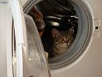     
: DSC02088.jpg
: 38
:	83.4 
ID:	4129465