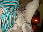     
: DSC02070.jpg
: 53
:	138.9 
ID:	4129467