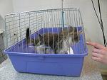     
: IMG_9412.jpg
: 86
:	126.4 
ID:	4130176