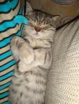     
: DSC02067.jpg
: 26
:	90.3 
ID:	4131231