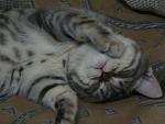     
: DSC02114.jpg
: 25
:	111.0 
ID:	4131232