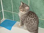     
: DSC02104.jpg
: 43
:	133.2 
ID:	4131233