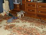     
: DSC02142.jpg
: 43
:	173.7 
ID:	4131235