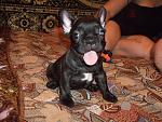     
: DSCF3216.jpg
: 48
:	141.9 
ID:	413194