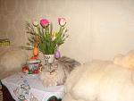     
: DSC02948.jpg
: 52
:	111.9 
ID:	4133608