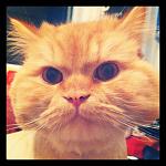     
: z_682bba5b.jpg
: 64
:	217.4 
ID:	4133673