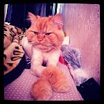     
: z_326f13a3.jpg
: 72
:	228.7 
ID:	4133674