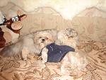     
: DSC02956.jpg
: 46
:	146.5 
ID:	4133740