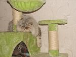     
: DSC02942.jpg
: 36
:	148.1 
ID:	4133786
