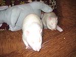     
: IMG_2022.jpg
: 31
:	142.8 
ID:	4134240