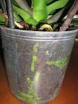     
: IMG_3161.jpg
: 40
:	77.6 
ID:	4134400