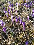     
: IMG3.jpg
: 11
:	214.9 
ID:	4135179