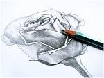     
: x_d3ca8b1d.jpg
: 11
:	25.0 
ID:	4135238