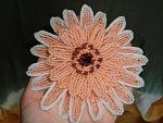     
: DSC02499.jpg
: 23
:	184.5 
ID:	4136069