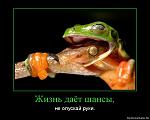     
: 1333613602-zhizn-dayot-shansy.jpg
: 17
:	102.1 
ID:	4136088