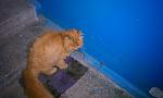     
: IMAG0180.jpg
: 97
:	96.2 
ID:	4137254