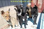     
: DSC_0024_новый размер.JPG
: 14
:	159.2 
ID:	4138600