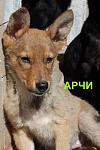     
: DSC_0035_новый размер.JPG
: 8
:	195.4 
ID:	4138614