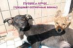     
: DSC_0038_новый размер.JPG
: 5
:	147.6 
ID:	4138619