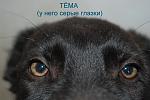     
: DSC_0054_новый размер.JPG
: 8
:	109.8 
ID:	4138641