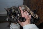     
: DSC_0006.jpg
: 64
:	107.0 
ID:	4138704