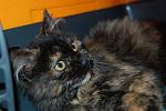    
: DSC_0010.jpg
: 78
:	120.2 
ID:	4138705