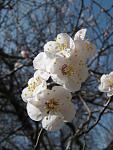     
: IMG_0873.jpg
: 5
:	56.9 
ID:	4139812