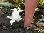     
: IMG_0879.jpg
: 12
:	62.0 
ID:	4139826