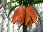     
: IMG_0874.jpg
: 9
:	53.4 
ID:	4139830