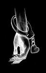     
: 4529584944248199.jpg
: 9
:	16.9 
ID:	4141179