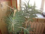     
: DSC04326.jpg
: 49
:	185.6 
ID:	4141348
