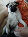     
: Фото0384.jpg
: 32
:	238.4 
ID:	4141937