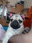     
: Фото0401.jpg
: 36
:	236.2 
ID:	4141939