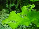     
: DSC004571.jpg
: 63
:	103.7 
ID:	4142871