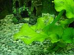     
: DSC004601.jpg
: 63
:	124.0 
ID:	4142872