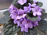     
: DSC05983.jpg
: 19
:	146.6 
ID:	4144097