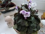     
: DSC05982.jpg
: 20
:	111.6 
ID:	4144100