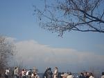     
: DSC02412.jpg
: 19
:	108.0 
ID:	4144644