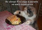     
: 1287822308_713677.jpg
: 20
:	49.0 
ID:	4144809