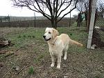     
: DSC00807.jpg
: 47
:	303.5 
ID:	4148021