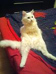     
: 2012-04-13 19.54.01.jpg
: 27
:	80.9 
ID:	4151009