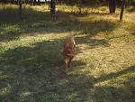    
: PHTO0169.jpg
: 304
:	151.1 
ID:	415712
