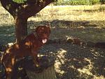     
: PHTO0011.jpg
: 421
:	152.0 
ID:	415714
