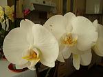     
: DSC02387.jpg
: 9
:	73.8 
ID:	4157333