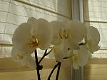     
: DSC02386.jpg
: 7
:	90.1 
ID:	4157335