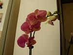     
: DSC02388.jpg
: 9
:	81.0 
ID:	4157345