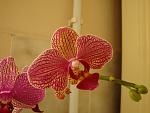     
: DSC02389.jpg
: 7
:	101.1 
ID:	4157349