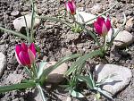     
: S4025471.jpg
: 15
:	266.9 
ID:	4158233